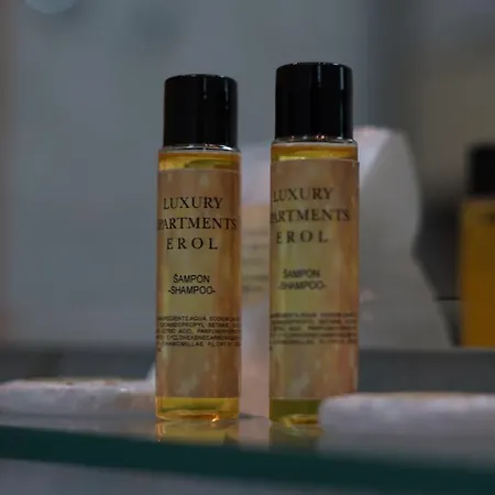 Διαμέρισμα Luxury Erol